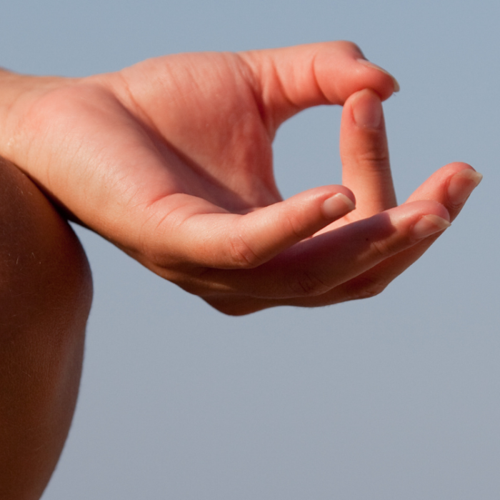 Logo Habita tu Ser (21)